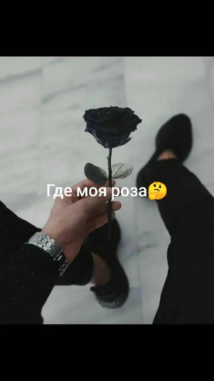 A post by @macho_095_ on TikTok caption: #где#мой#роза #🌹🌹🌹🌹🌹🌹🌹🌹🌹🌹🌹🌹 