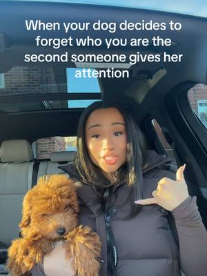 A post by @jordanrozich on TikTok caption: Did you forget who ur mama was?? 