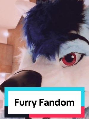 A post by @littlealphapup on TikTok caption: This fandom is so beautiful, thank you for being a part of it 🫶🏻✨ #furry #furryfandom #littlealphapup #mff #wholesome  Featuring @Cloud1516 Husky @Bandit @Astra @Demicorn333 @Reef (and more, i dont know your tags 😭)