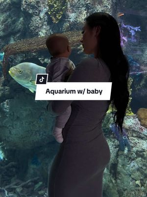 A post by @siraedwards on TikTok caption: I highly recommended taking your 3month+ old on a trip to the aquarium! 𝐘𝐨𝐮 𝐰𝐨𝐧𝐭 𝐫𝐞𝐠𝐫𝐞𝐭 𝐢𝐭 🪼🐡🥽🫧🪸 #aquarium #aquariumofthepacific #babytok #firsttimemom #postpartumjourney #threemonthsold #threemonthmilestone #daytrip #babysctivityideas 