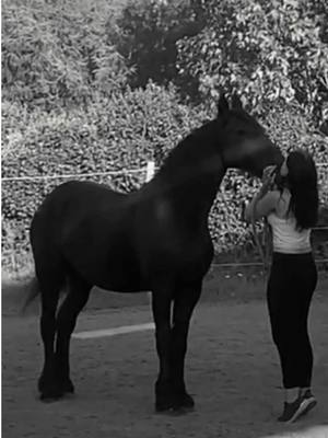 A post by @zoe_1509_x on TikTok caption: 🌈20.06.24🌈  I will always miss you, there is never a day when I don't think of you. #sad #lost #missing #soulhorse #mylove #RIP #neverforgetyour