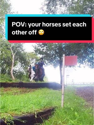 A post by @whizzywackywelsh on TikTok caption: Anyone else horse have a partner in crime 😈 🤣?? #whizzywackywelsh #gopro #funny #equestrian 