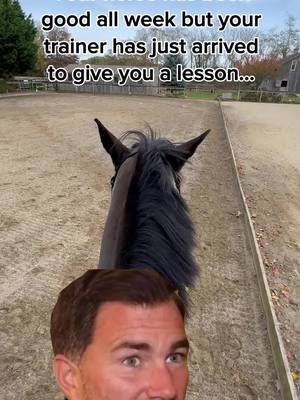 A post by @stephenhayesdressageride on TikTok caption: But why you gotta do this to me!  #fyp #equestrian #equestrianlife #horses #horse #foryoupage #horsesontiktok #horseboy #horsegirl #horseguy #dressage #equestrians #equines #horsetiktok #equinetiktok #dressage #dressagerider #dressagehorse