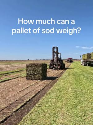 A post by @bethelfarms on TikTok caption: How much does a pallet of sod weigh? #sodfarm #farm #forklift #farmtok #grass #pallets 