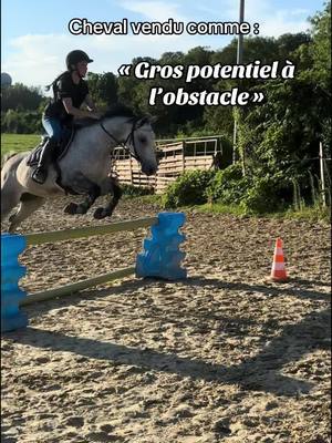 A post by @reflexions_equestres on TikTok caption: Heureusement que je l’ai pas acheté pour ça 🤣!  ⚠️ Je tiens à préciser qu’on ne s’acharne pas à l’obstacle, on a dû sauter 6 fois cette année, ce n’est pas du tout notre discipline de prédilection.  Le travail sur les barres reste intéressant pour aider mon cheval à prendre confiance en lui et en franchise.  Je vous remercie également pour votre indulgence sur mes potentielles erreurs l’obstacle c’est pas ma cam, et encore plus avec un cheval qui s’arrête !  Et pour ceux qui auront prit le temps de lire ce descriptif, sachez qu Enjoy est loin d’être mécontent de sauter, il a dit en communication animale je cite «  l’obstacle c’est rigolo » 🤣,  Mais n’a absolument pas compris que le but était de passer de l’autre côté…😅 Je pourrais bien sûr « taper » et obtenir d’avantage mais ça n’a jamais été la politique de la maison.  On fait à son rythme 🙌🏻. Merci pour votre bienveillance,  À prendre avec #humour 😘 #cso #sautdobstacle #fail #equitation 