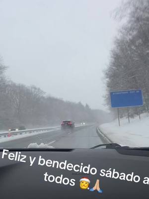 A post by @ginasalamea7 on TikTok caption: #snow #nieve #morning #saturday #fypシ #viraltiktok 