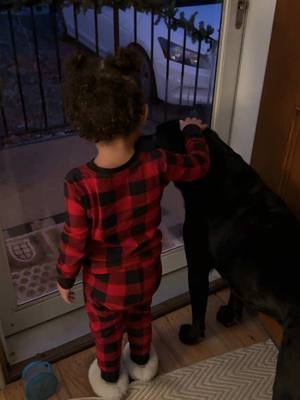 A post by @madeleinemh on TikTok caption: Ivy’s reassuring our new guest for the weekend after her mama dropped her off & it might be the sweetest thing I’ve ever seen 🥹🥰🤍  #fyp #foryou #foryoupage #viral #toddler #daughter #sleepover #dog #blacklab 