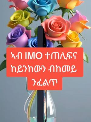 A post by @kbmkebari on TikTok caption: #onthisday IMO ናትና ሰብ ይጥቀመሉ ኣሎ ዶ የለን ብከመይ ንፈልጥ።#eritreantiktok #ethiopian_tik_tok #tigraytiktok #ቤርጌድንሓመዱ #habshatiktok #for #forpage #tik_tok #imo 