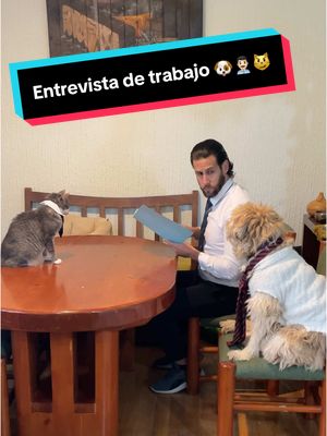 A post by @somosfamiliapeluda on TikTok caption: Entrevista de trabajo 🐶👨🏻‍💼😼 #perros #gatos #mascotas #comedia 