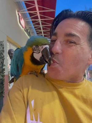 A post by @tiktokbirdwhisperer on TikTok caption: #funnyanimals #funny #kiss #stealakiss 