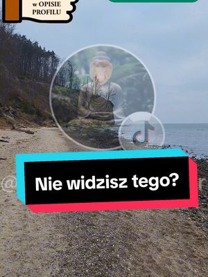 A post by @januszmotywator on TikTok caption: ##wiral #dlaciebie #fyp #polacy #polacyzagranica #polacywuk #polacywniemczech #polacywholandii #niedziela #dzieńdobry #przekazdlaciebie #podajdalej #miłego_dnia #janusz #dobranoc #polska🇵🇱 