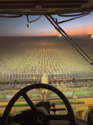 A post by @oliverkaywright on TikTok caption: That transition tho 😮‍💨  #australia #headeroperator #nightlife #capcut_edit #westernaustralia #fyp #ausharvest24 #johndeere #harvest2024 #agrifilmz #youngfarmer #youngfarmersdoitbest #farmersoftiktok #backbritishfarming🇬🇧 #backbritishfarming #jcb #hedgecutting 