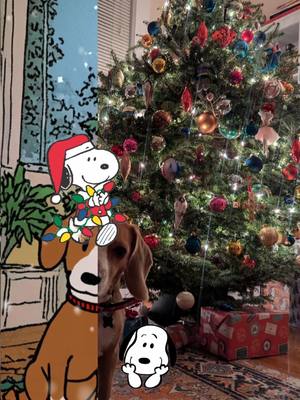 A post by @foundandcurated on TikTok caption: I can't 😭 #snoopychristmas #christiantiktok #christmastree #vintagechristmastree #christmasbeagle #beaglepuppy 