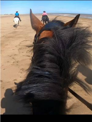 A post by @whizzywackywelsh on TikTok caption: This song goes do well to this feeling 🥰 #whizzywackywelsh #gopro #equestrian #galloping 