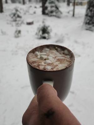 A post by @patchworkpaladdin on TikTok caption: I could live in the soft moments of early snowfall where everything is  ✨️silent✨️ #snow #winter #vibes #myhotcocoisbetterthanyoursandilldieonthathill 