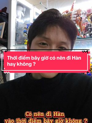 A post by @chienkoreatv on TikTok caption: Thời điểm bây giờ có nên đi Hàn hay không ? #chienkoreatv #xuhuong #fyp #LearnOnTikTok #cuocsonghanquoc #nguoivietnamtaihanquoc🇰🇷 #유학생🇰🇷🇻🇳 #duhocsinhhanquoc #xkldhanquoc 