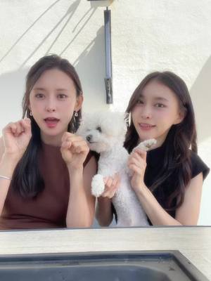 A post by @dew_sisters on TikTok caption: 그리운 듀자매👭🏻🤍 #듀자매 #dewsisters #LA 