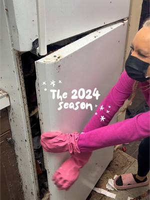 A post by @aurikatariina on TikTok caption: My perfect 2024! 😭😭 May 2025 bring more dirty homes! 🤩💖 #deepcleaning #cleaning #bestyear 