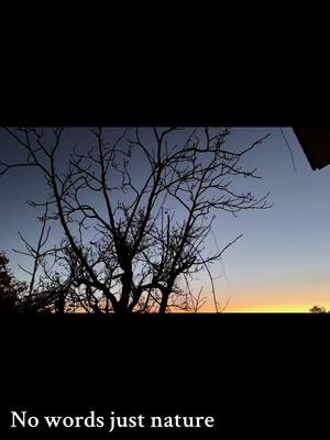 A post by @primogatto on TikTok caption: #sundown #tramonto #nowords#nature 