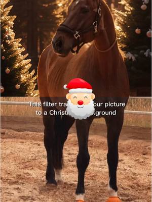 A post by @clinton.70 on TikTok caption: 𝓕𝓻𝓸𝓱𝓮 𝓦𝓮𝓲𝓱𝓷𝓪𝓬𝓱𝓽𝓮𝓷 ✨🎄 #CapCut #merrychristmas #horse #xmashorse 