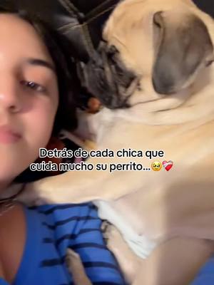 A post by @jazminflores190120 on TikTok caption: #perrijos #angelito #extraño #curitaalcorazon #mejoresamigos 