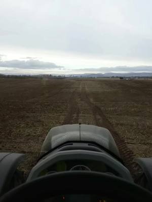 A post by @valtra.lad on TikTok caption: 2024 from the ground #valtra #masseyferguson #silage #harvest 