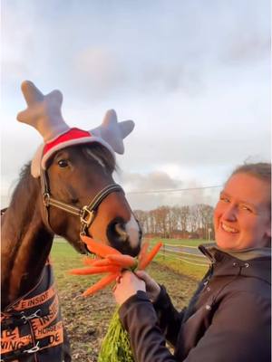 A post by @annaroediger on TikTok caption: Schöne Feiertage wünsche ich euch .🎅🏼❤️🐴Leider ein altes Video . Bin so froh wenn ich wieder auf den Beinen bin .#pferd #weihnachten #equestrian 