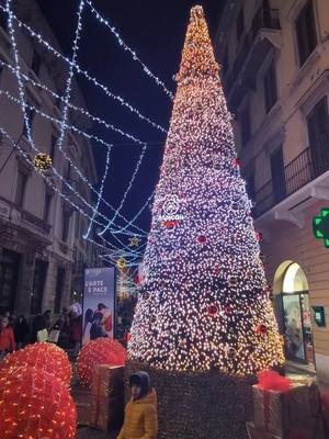 A post by @hamid_asmoun on TikTok caption: Albero di Natale #natale  #Natale  #tik_tok  #brescia 