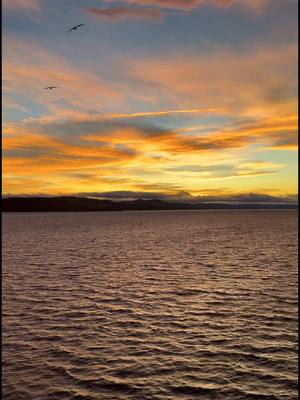 A post by @scotland on TikTok caption: A Christmas Eve sunset crossing the Tay Rail Bridge, Dundee 🌅 #Scotland #ScotlandTikTok #ScotlandTravel #ScotlandForever #TravelTikTok #TravelBucketList #PlacesToVisit #Dundee #TayBridge #Sunset #ChristmasEve 