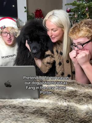 A post by @theharfinfamily on TikTok caption: Our dog got cast as FANG in the new Harry Potter series 😱 Merry Christmas Eve everyone  #mumtok #dogs #comedy #meme #comedycouple #relatable #harrypotter #trend #funny #dogsoftiktok 