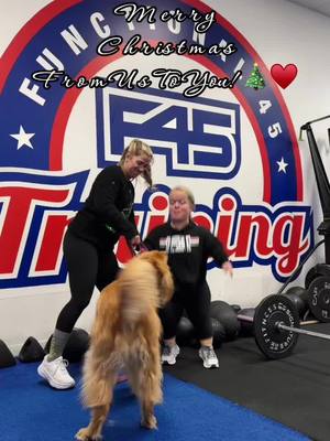 A post by @shelby_holloway on TikTok caption: Merry Christmas ♥️ ft. our F45 mascot Kahlúa 🐾 @F45TrainingRMV #f45training #f45 #happyholidays 