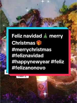 A post by @newseverydayinusa on TikTok caption: Feliz navidad 🎄 merry Christmas 🎁 #merrychristmas #feliznavidad #happynewyear #feliz #felizanonovo #feliz2025