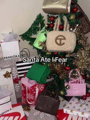 A post by @the_fav_auntie on TikTok caption: It’s a @TELFAR Christmas 🎄 #telfar #bag #christmaseve #christmasday #decor 