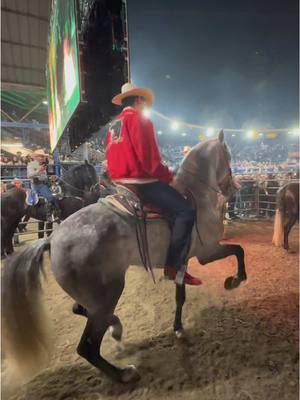 A post by @panterbelikiki on TikTok caption: Feliz navidad le desea el BELIKIKI !🎅🏻🎖️  #panterbelico #panterbelikiki #españoles #caballosbailadores #sinaloa🍅 #cln🍅 #losangeles #picoriverasportsarena 
