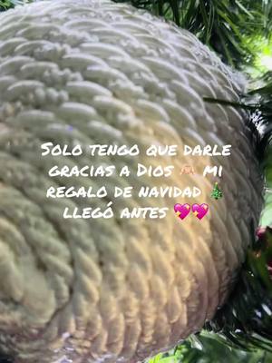 A post by @infantegaby25 on TikTok caption: #misprincesas👸👸bellas #diossaberporquehacelascosas #enamoradademisprincessas😍💖💖 
