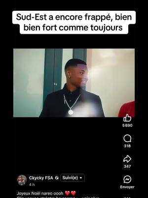 A post by @vanillahoussen on TikTok caption: 😍😍😍 mercii @Francky Léonard 👏❤️ @Élodie Vargas @ndry_Royan @Yalie 🍀 