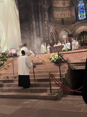 A post by @svetlanaghevondyan on TikTok caption: Joyeux Noël 🙏🕊️#pourtoi #fyp #messedenoel #messe #chretien #catolicostiktok 