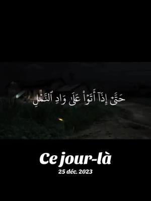 A post by @amir_________40 on TikTok caption: #cejour-là