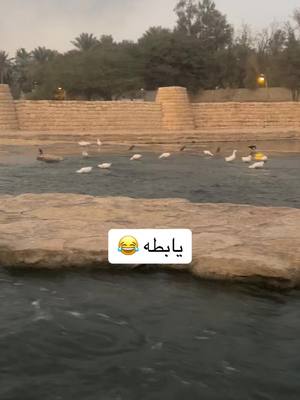 A post by @dooodii.m171 on TikTok caption: #دووودي #اكسبلور #المملكه_العربيه_السعوديه #ترند_تيك_توك_عرب #هاشتاق 