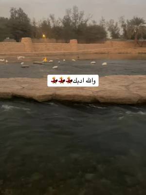 A post by @dooodii.m171 on TikTok caption: ##دووودي #اكسبلور #المملكه_العربيه_السعوديه #ترند_تيك_توك_عرب #مشاهير_العالم 