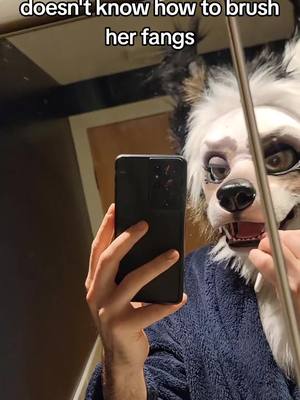 A post by @riverspey on TikTok caption: Spey says brush those pearly fangs after all those xmas treats 😤  #furry #furryfandom #fursuit 