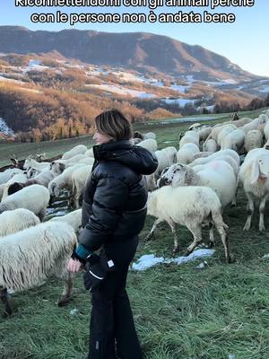 A post by @antonicoeleonora on TikTok caption: Apro una fattoria