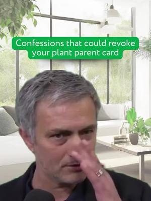 A post by @plantly.io on TikTok caption: From overrated plants to plant care tips that aren’t just doing it for you. The comment section is yours to express!! Ready to upgrade your plant game? 🌿 Check the link in bio to shop for plants that actually bring the green goodness to your space! 🪴💚 #PlantMemes #Planthumor #RelatablePlants #PlantParenthoodProblems #PlantFails #MemeTherapy #LeafMeAlone #IndoorJungleVibes #PlantStruggles #WhyDidThisPlantDieOnMe