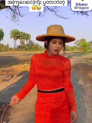 A post by @saikyawthu6 on TikTok caption: ရှခဲ့ပြန်ပြီ😂😂#မိစိုင်း @Shwe Dragon 