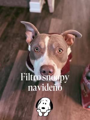 A post by @nycolaraee on TikTok caption: #filtrosnoopy #filtroia #feliznavidad 