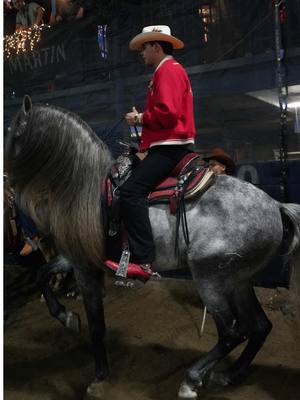 A post by @panterbelikiki on TikTok caption: No que no querías pues😮‍💨🥰🎠  #picoriverasportsarena #panterbelico #panterbelikiki #españoles #caballosbailadores #sinaloa🍅 