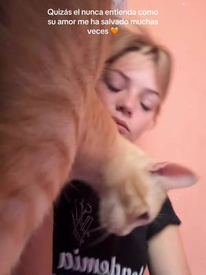 A post by @annapeey__ on TikTok caption: #fypシ #viral #cat 