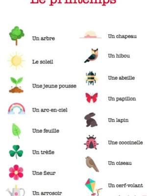 A post by @learnfrench05 on TikTok caption: #learnfrench #learnfrench05🇫🇷 