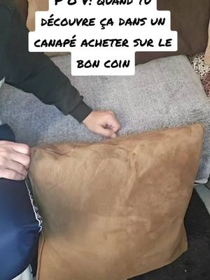 A post by @90day_fiances on TikTok caption: quand tu découvre ça dans un canapé acheter sur le bon coin #money #euro #bestlife #decouverte 