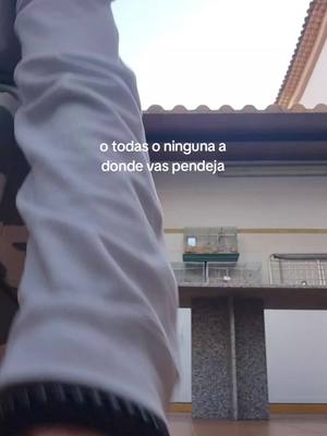 A post by @estefania__95 on TikTok caption: que es navidad a donde vas